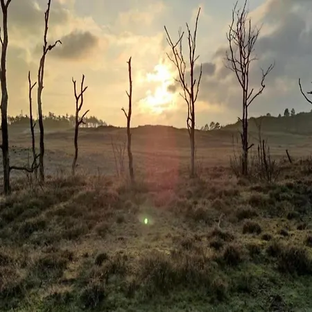 In Near Sandy Beaches Дом отдыха