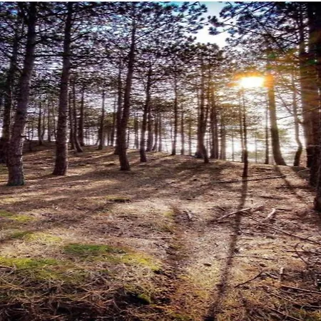 Nyaraló In Near Sandy Beaches