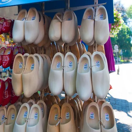 In Near Sandy Beaches * Schoorl