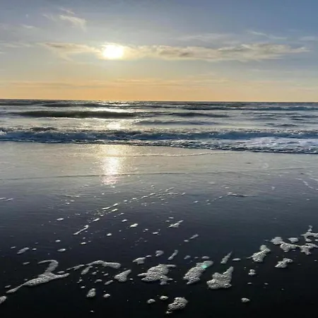 In Near Sandy Beaches