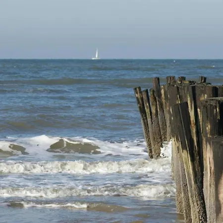 In Near Sandy Beaches