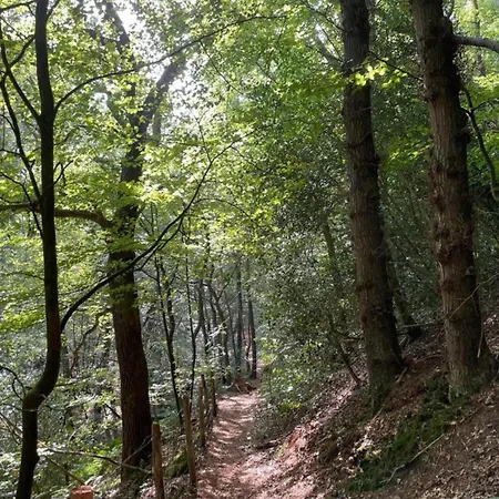 Nyaraló In Near Sandy Beaches