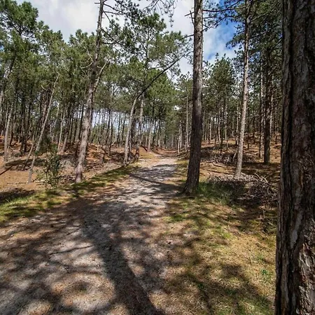 In Near Sandy Beaches Дом отдыха *