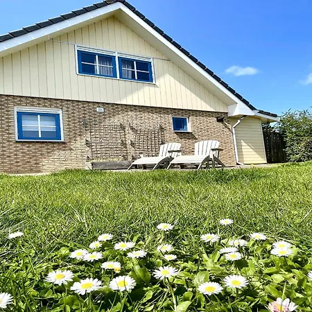 In Near Sandy Beaches