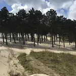 In Near Sandy Beaches * Schoorl