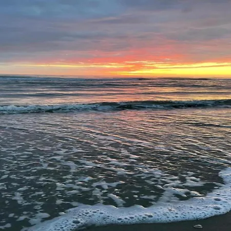 In Near Sandy Beaches * Schoorl