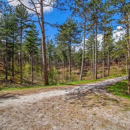 Hébergement de vacances In Near Sandy Beaches Schoorl