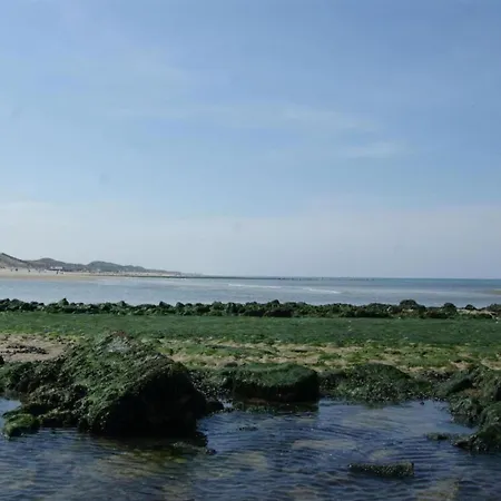 In Near Sandy Beaches Hébergement de vacances *