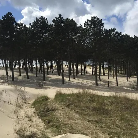 In Near Sandy Beaches * 슐